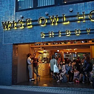 Wise Owl Shibuya , Tokio Japón